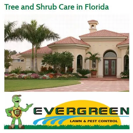 Reliable yard cleanup service for residential properties across Debary, FL - Evergreen Lawn & Pest Control