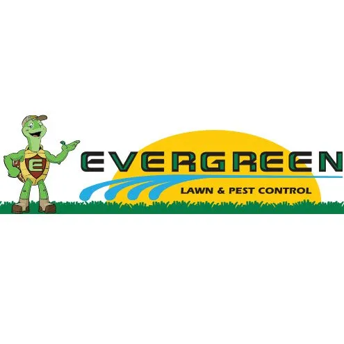 Professional yard cleanup service in Debary, FL by Evergreen Lawn & Pest Control