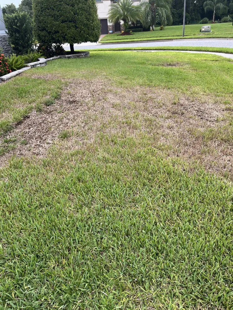 Professional garden landscaping experts serving Orlando, FL - Evergreen Lawn & Pest Control
