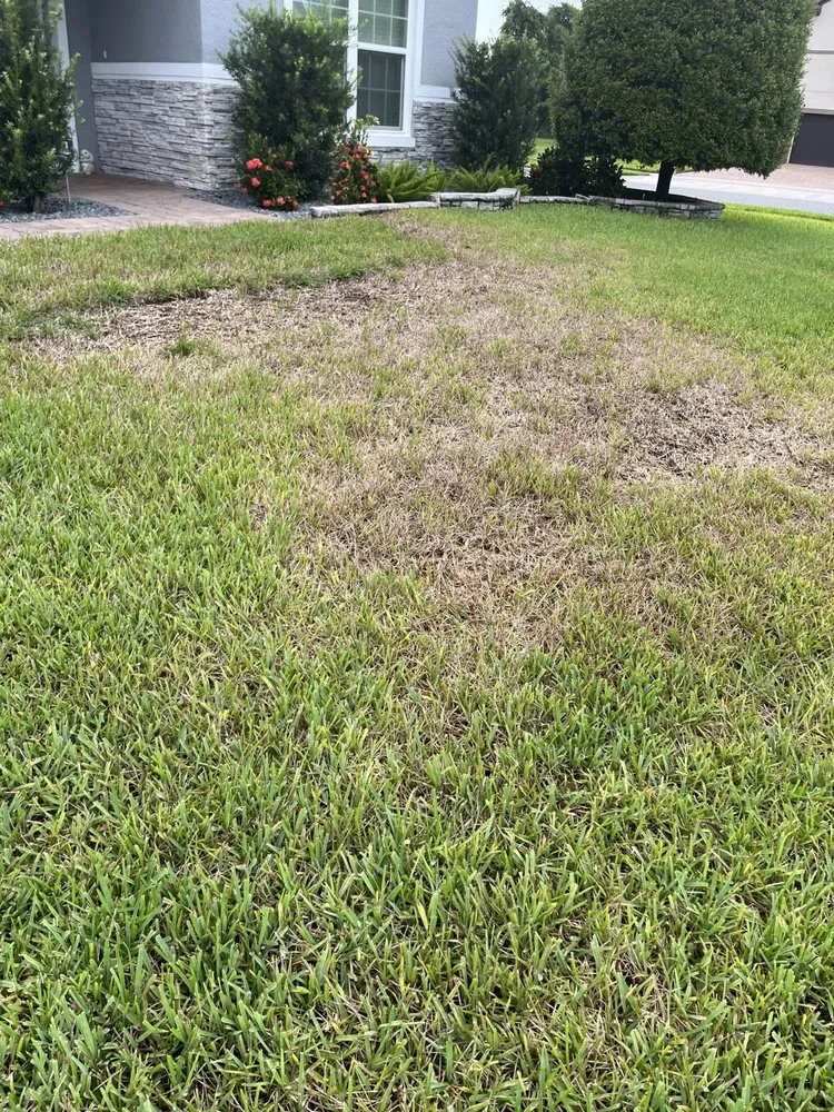 Professional yard maintenance for outdoor upgrades in Orlando, FL by Evergreen Lawn & Pest Control