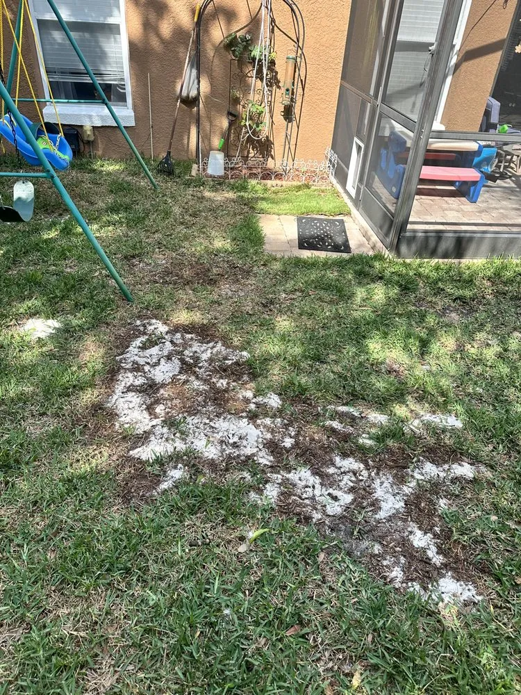 Expert garden landscaping with custom design across Orlando, FL - Evergreen Lawn & Pest Control