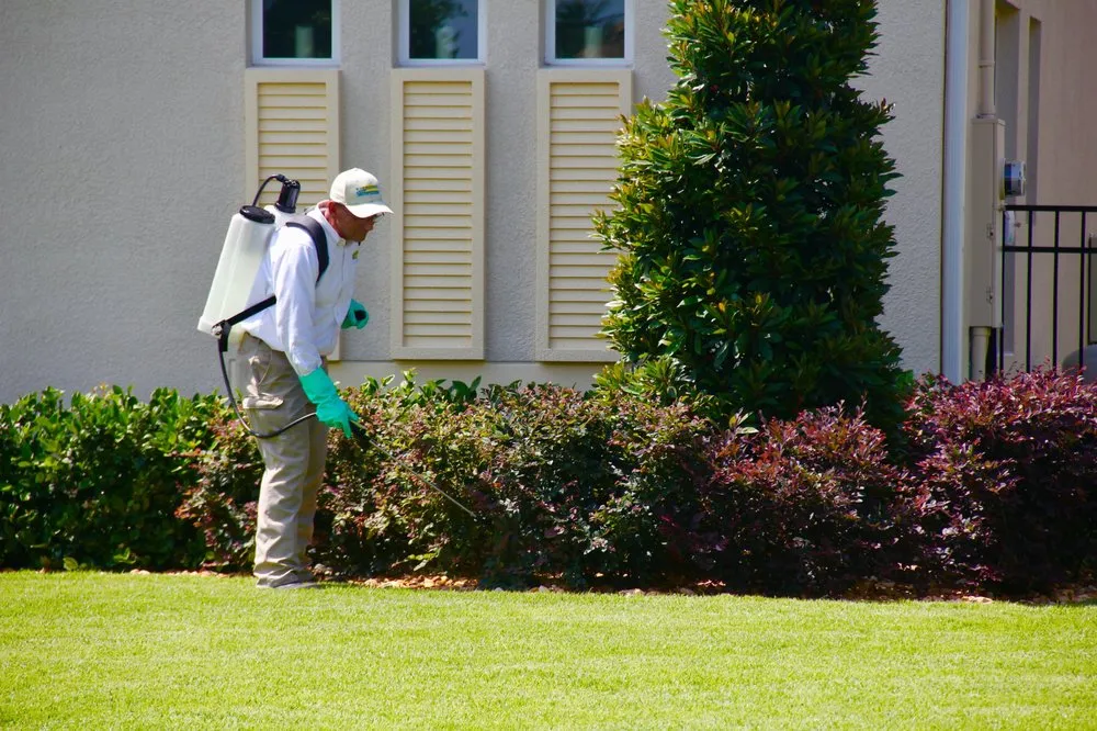 Professional landscape installation in Orlando, FL - Evergreen Lawn & Pest Control