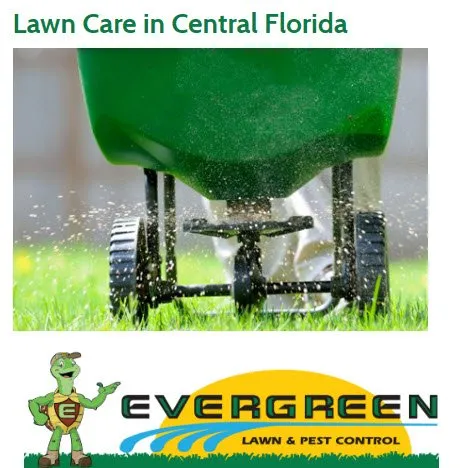 Local yard maintenance with custom design across Orlando, FL - Evergreen Lawn & Pest Control