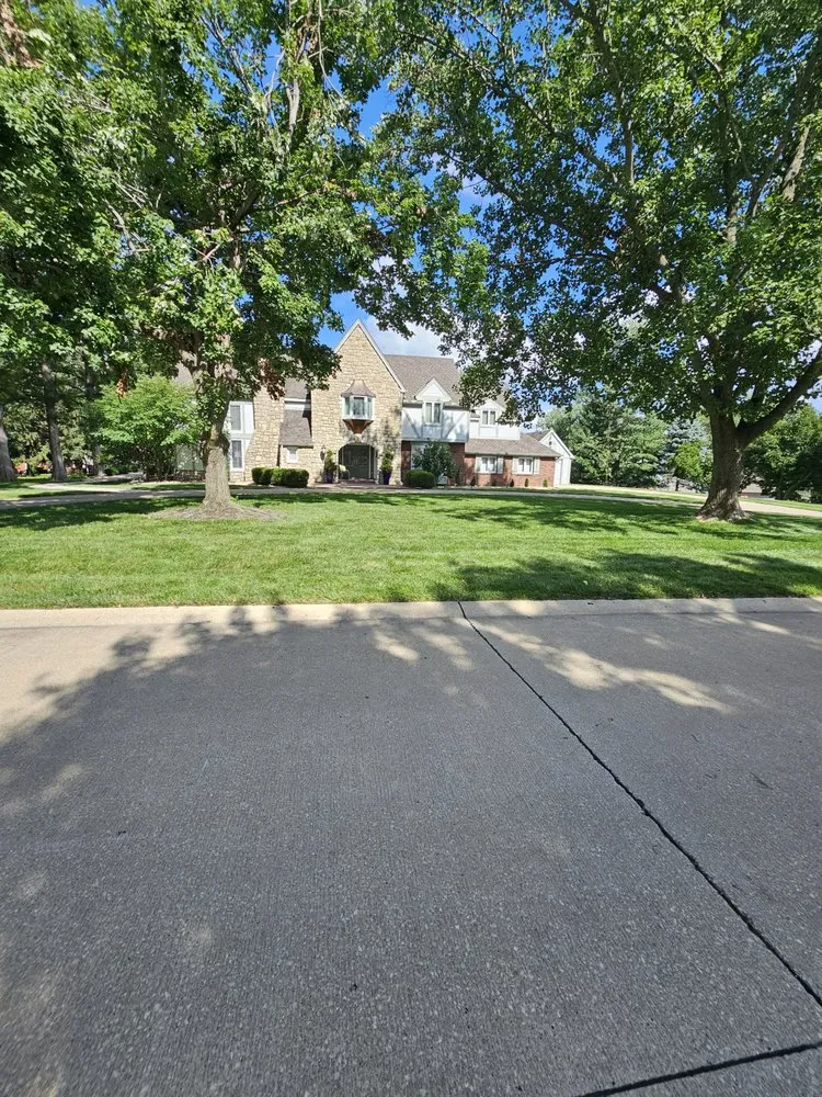 Custom yard cleanup service in St. Joseph, MO - Evergreen Lawn & Property