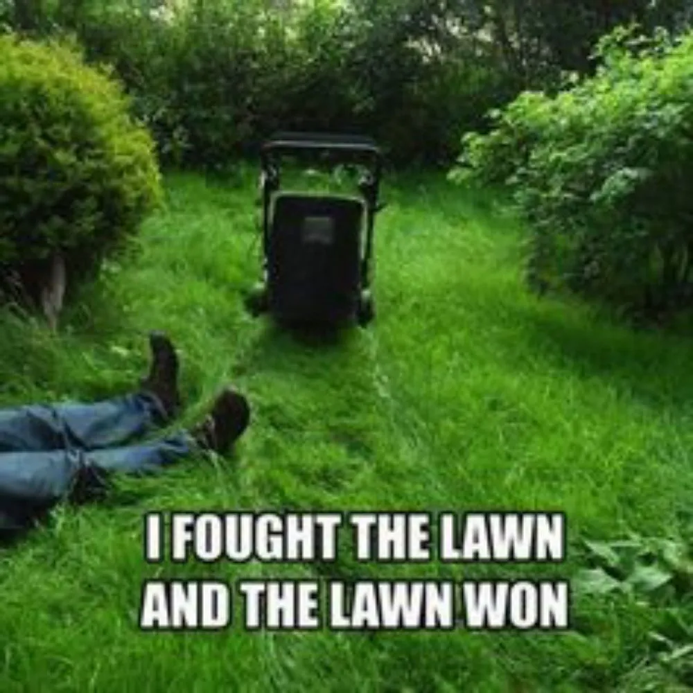 Expert landscape installation in Holland Patent, NY by Evergreen Lawn & Tree