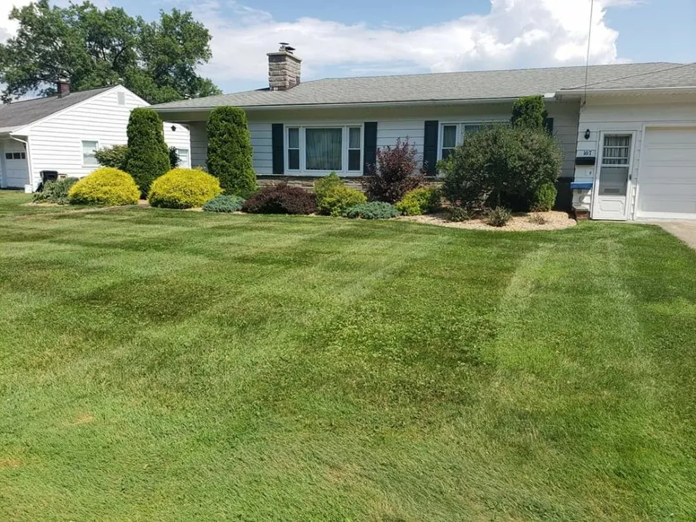 Custom yard cleanup service experts serving Holland Patent, NY - Evergreen Lawn & Tree