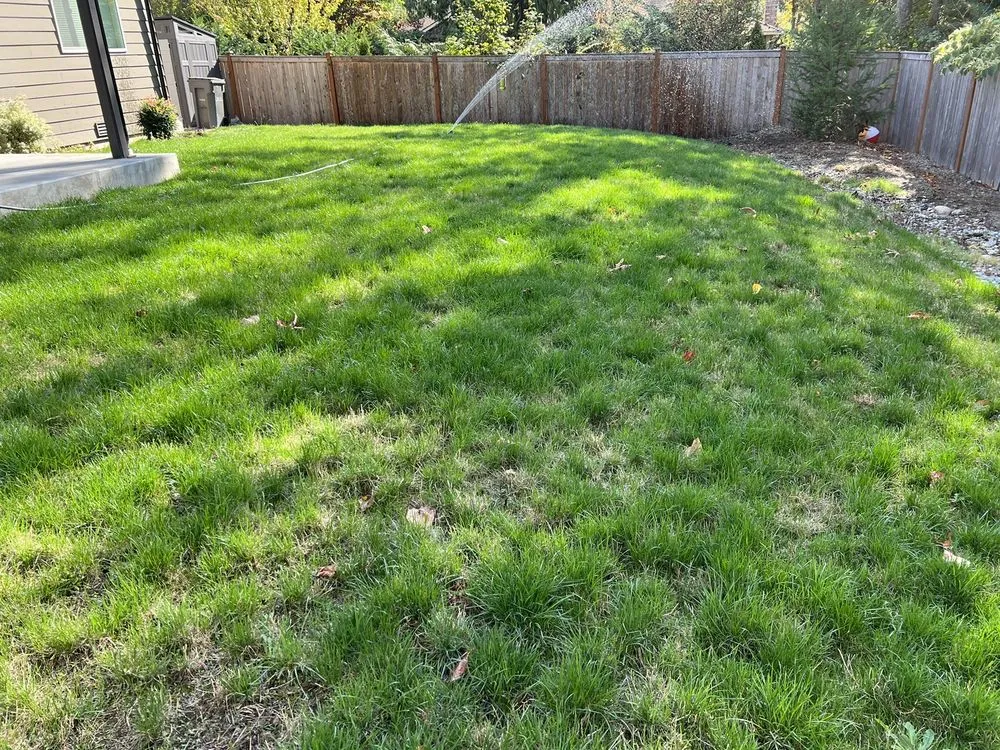 Custom garden landscaping in Seattle, WA - Evergreen Lawn Aeration
