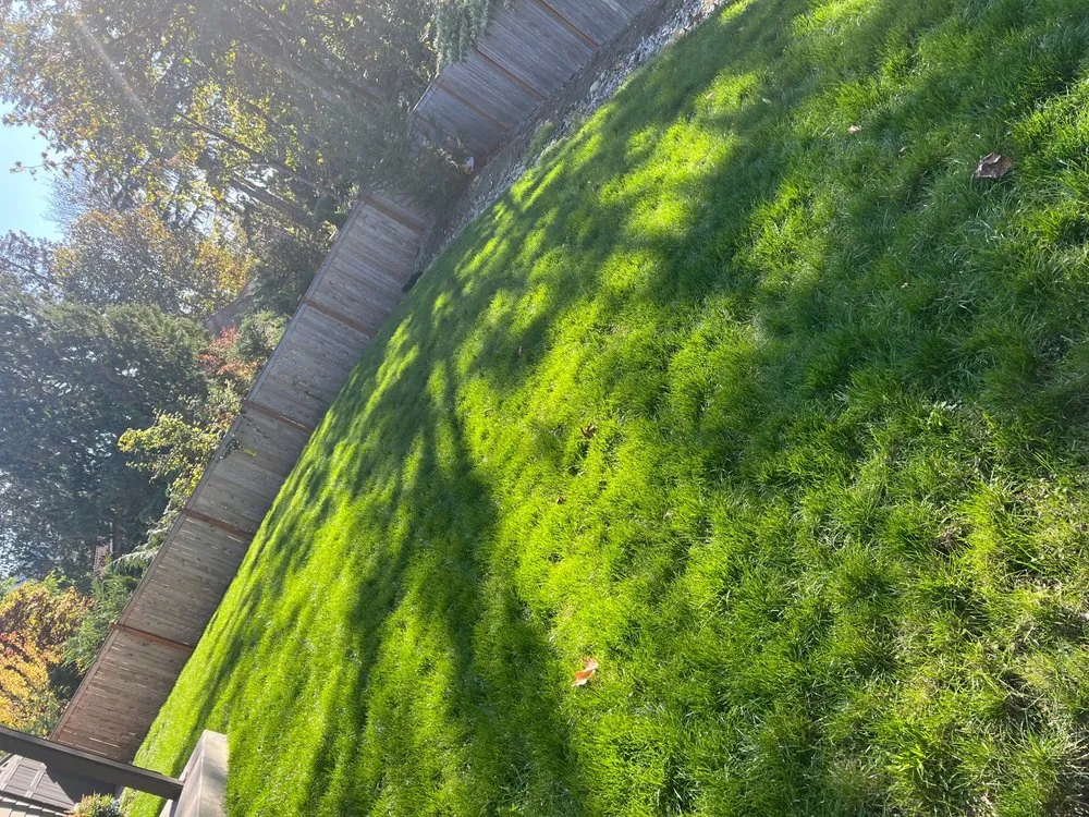 Top-rated yard cleanup service for homes across Seattle, WA - Evergreen Lawn Aeration