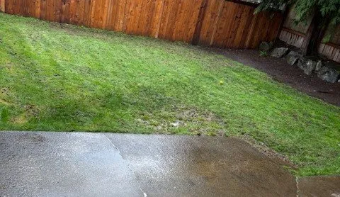 Local residential landscaping experts serving Seattle, WA - Evergreen Lawn Aeration