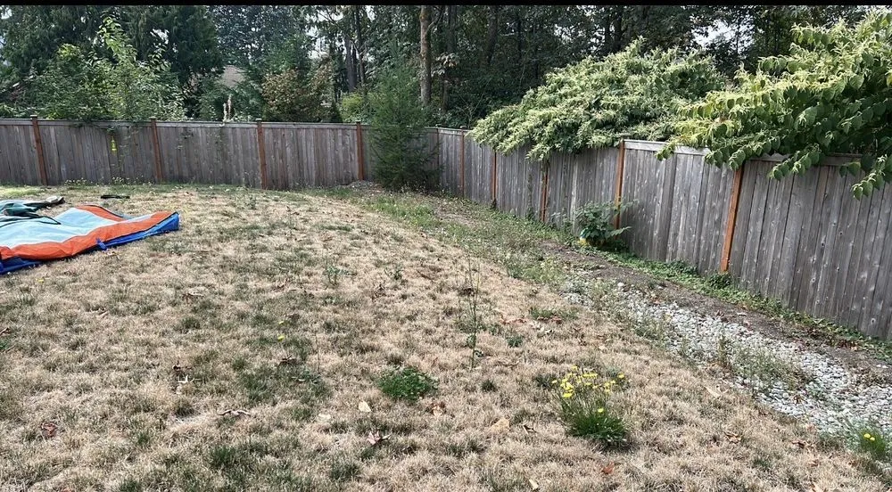 Local garden landscaping experts serving Seattle, WA - Evergreen Lawn Aeration