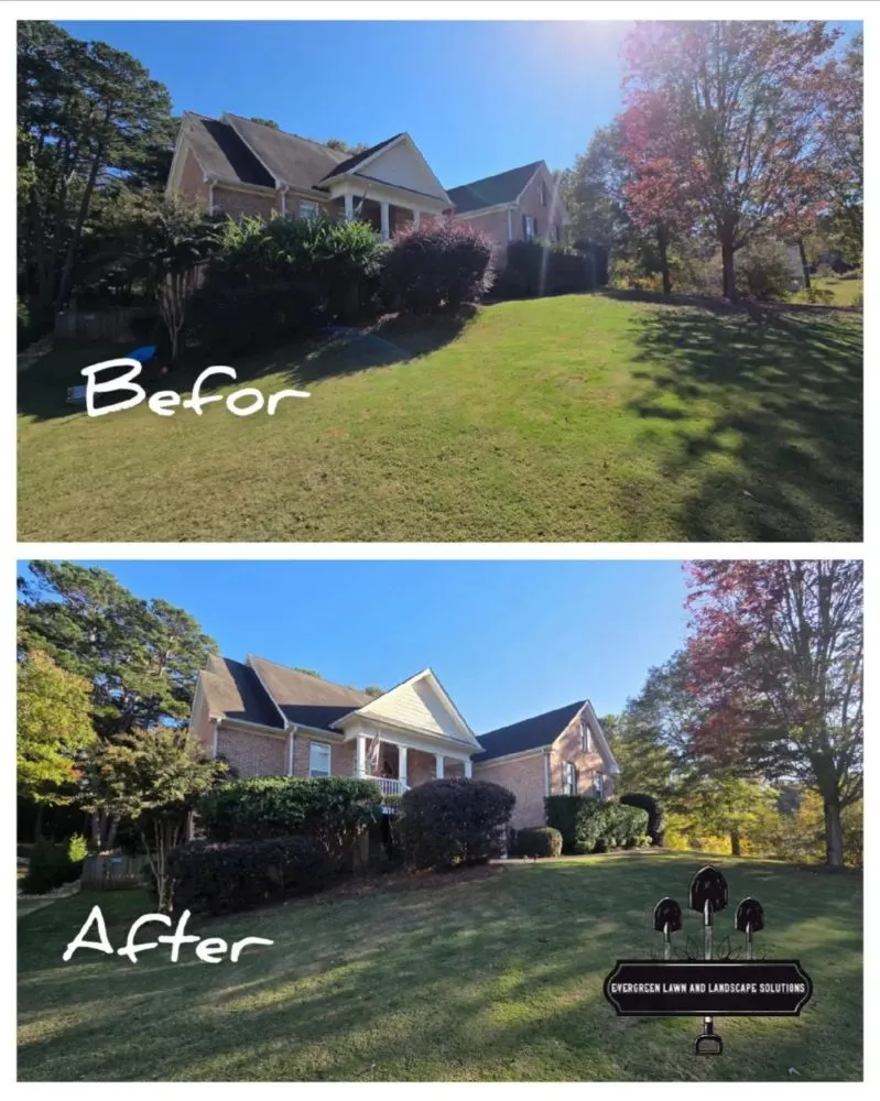 Custom yard cleanup service experts serving Commerce, GA - Evergreen Lawn And Landscape Solutions