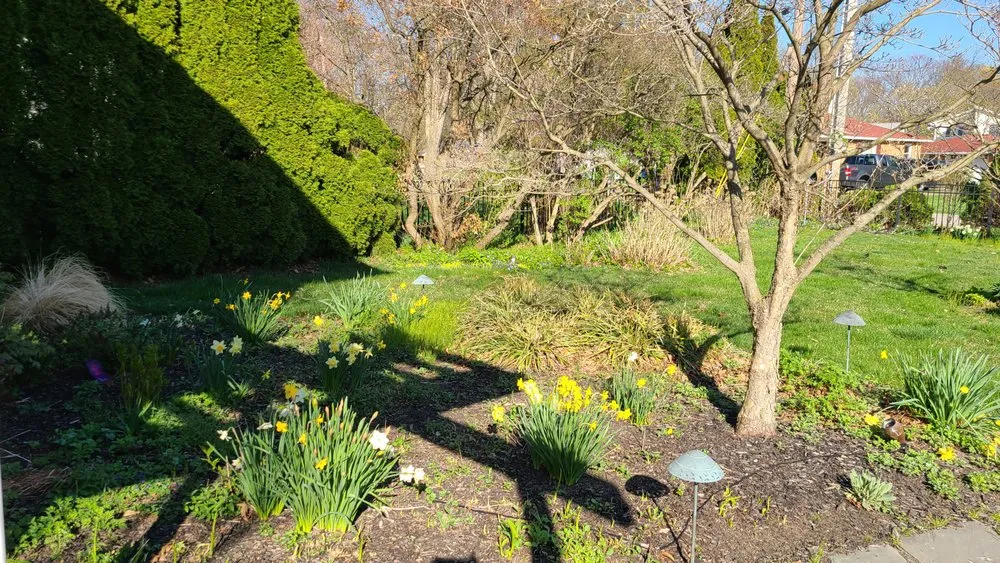 Expert landscape design for beautiful yards in Benton Harbor, MI by Evergreen Lawn Care & Landscaping