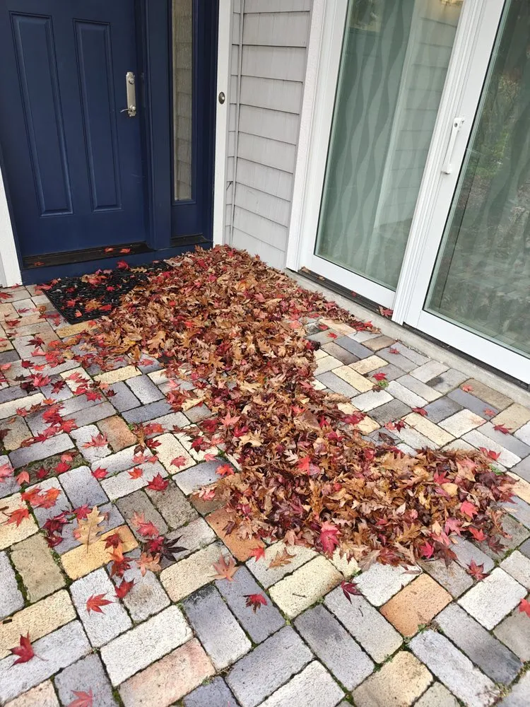 Trusted landscape design in Benton Harbor, MI - Evergreen Lawn Care & Landscaping