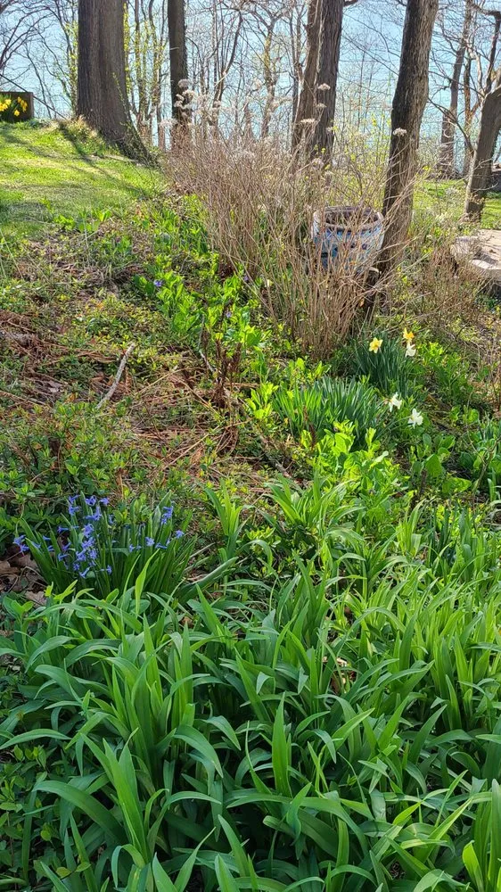 Expert landscape design experts serving Benton Harbor, MI - Evergreen Lawn Care & Landscaping