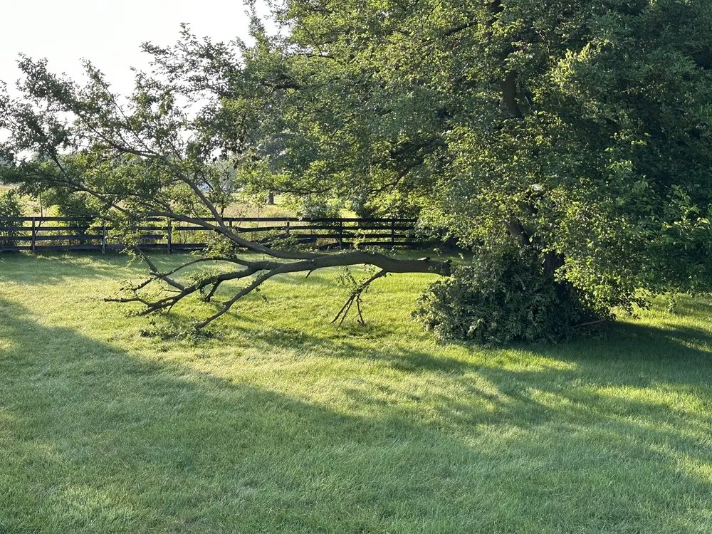 Top-rated landscaping services for outdoor upgrades in Benton Harbor, MI by Evergreen Lawn Care & Landscaping