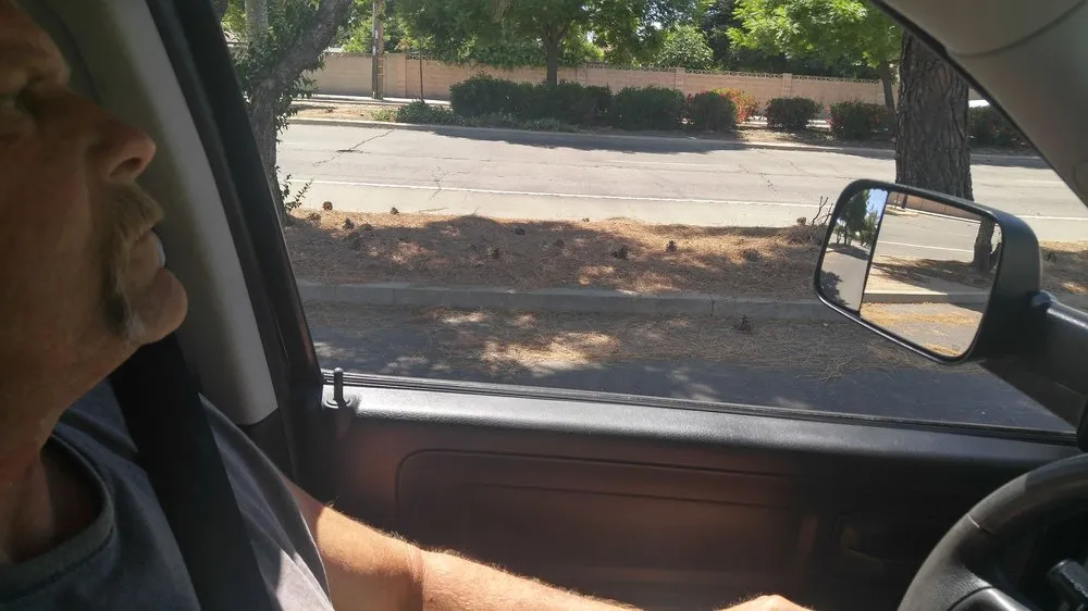 Affordable landscape design in Clovis, CA - Evergreen Lawn Care & Maintenance