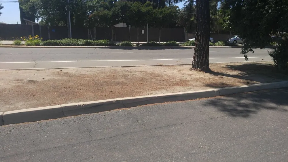 Professional landscape design in Clovis, CA - Evergreen Lawn Care & Maintenance