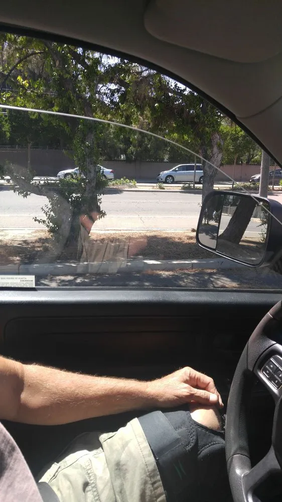 Custom outdoor landscaping experts serving Clovis, CA - Evergreen Lawn Care & Maintenance