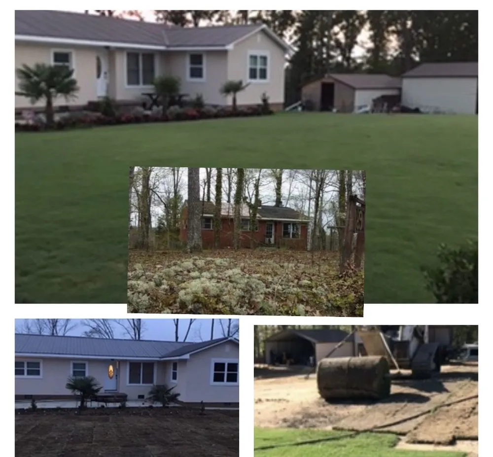 Local yard cleanup service experts serving Tega Cay, SC - Evergreen Lawn Care 360