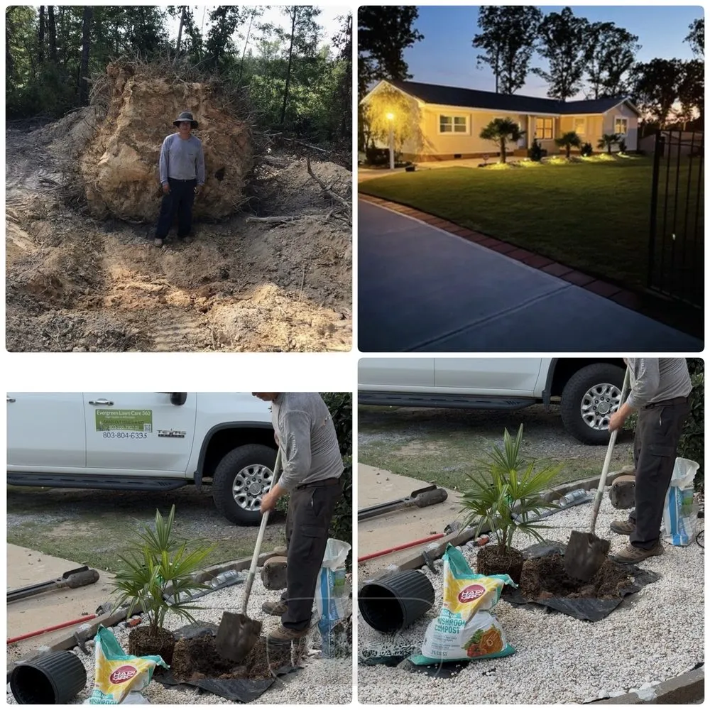 Local landscaping services near you in Tega Cay, SC by Evergreen Lawn Care 360