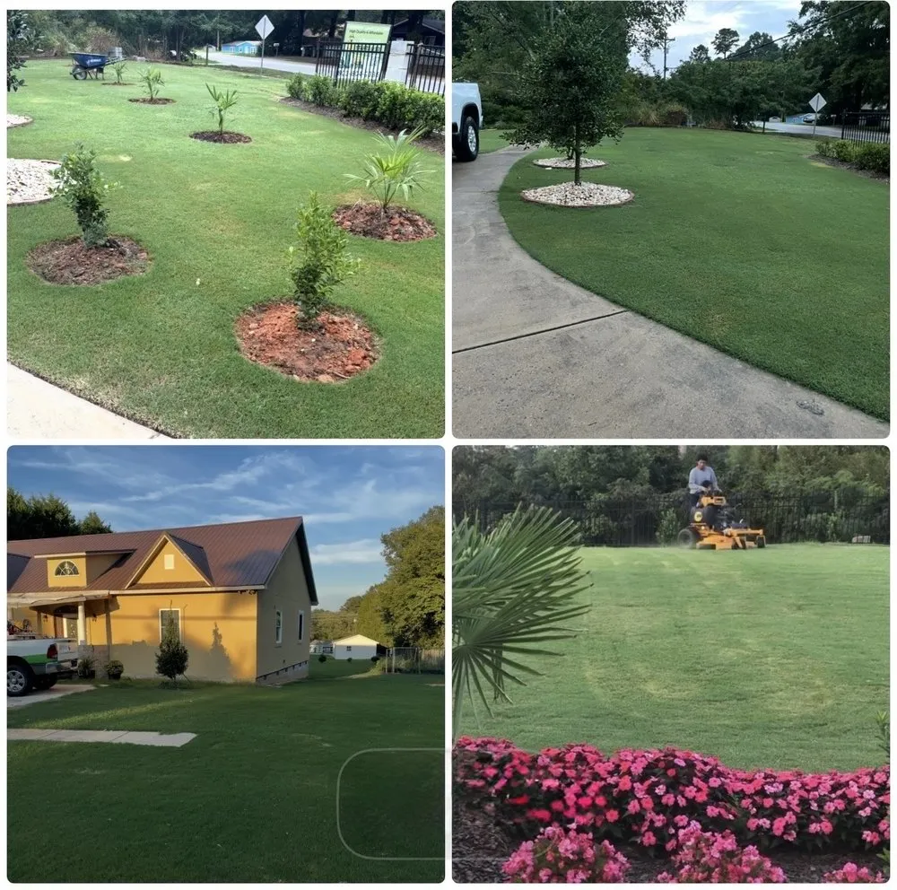 Top-rated outdoor landscaping in Tega Cay, SC by Evergreen Lawn Care 360
