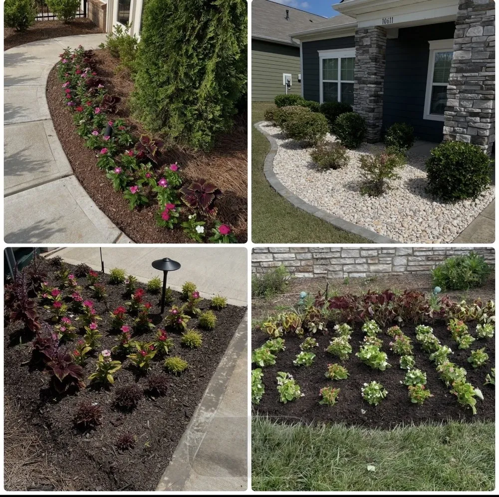 Expert yard maintenance in Tega Cay, SC by Evergreen Lawn Care 360