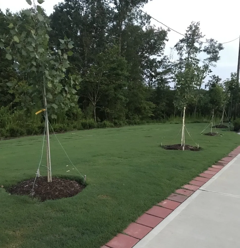 Expert lawn mowing service for residential properties across Tega Cay, SC - Evergreen Lawn Care 360