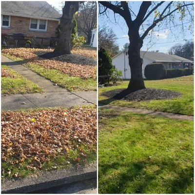 Evergreen Lawn Care Logo