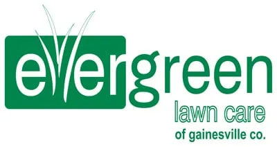 Reliable lawn care service for outdoor upgrades across Gainesville, FL - Evergreen Lawn Care