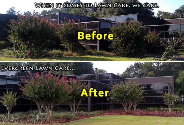 Professional lawn care service for residential properties across Gainesville, FL - Evergreen Lawn Care
