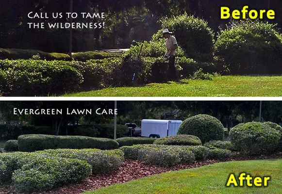 Evergreen Lawn Care Logo