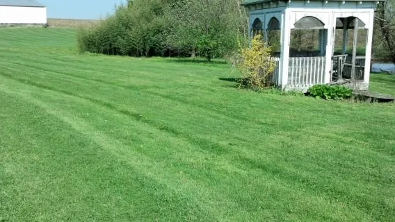 Custom lawn mowing service in Omaha, IL - EverGreen Lawn Care