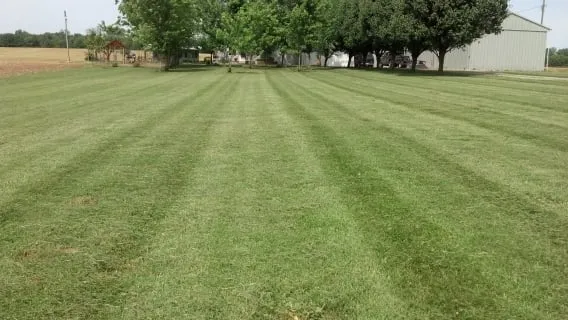 Expert residential landscaping in Omaha, IL - EverGreen Lawn Care
