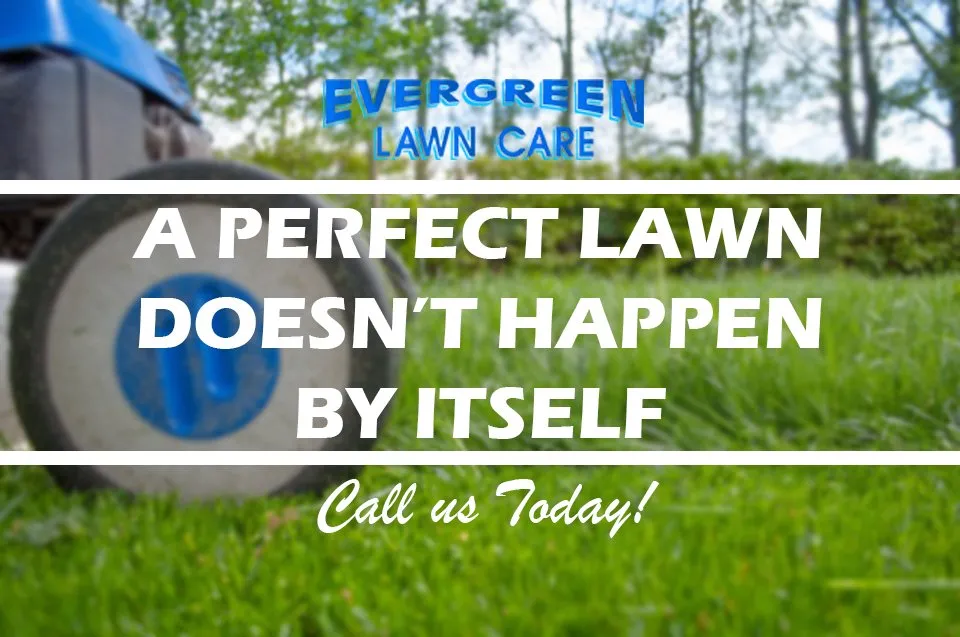 Professional landscape installation with custom design in Owensboro, KY by Evergreen Lawn Care