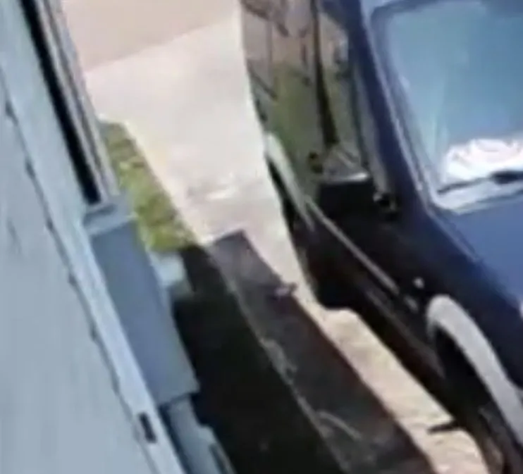 Professional landscape design for homes across Owensboro, KY - Evergreen Lawn Care