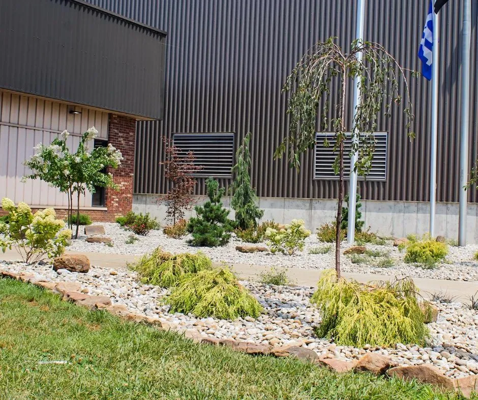 Affordable yard cleanup service experts serving Owensboro, KY - Evergreen Lawn Care