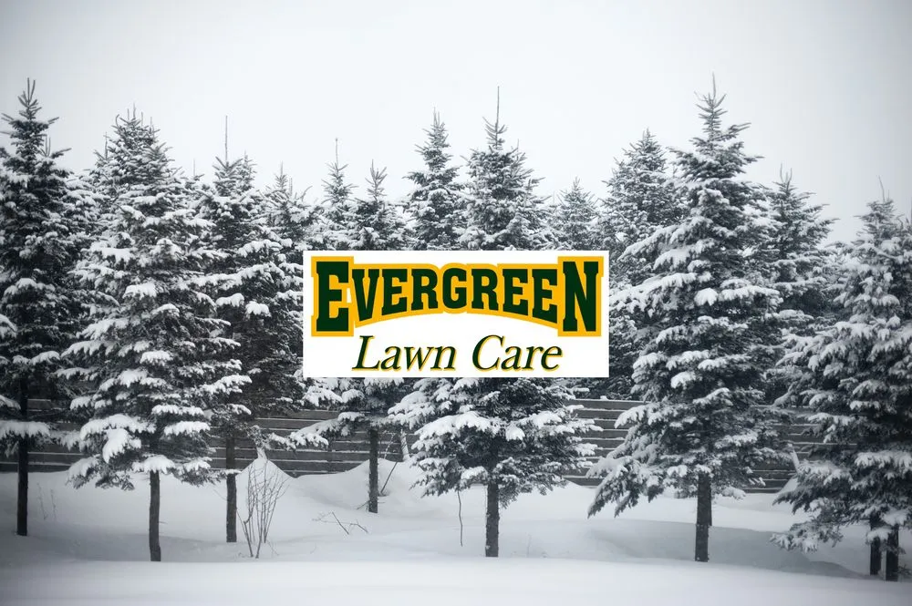 Trusted lawn mowing service in Petoskey, MI - Evergreen Lawn Care