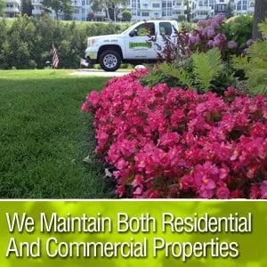 Affordable landscape installation for year-round maintenance in Petoskey, MI by Evergreen Lawn Care