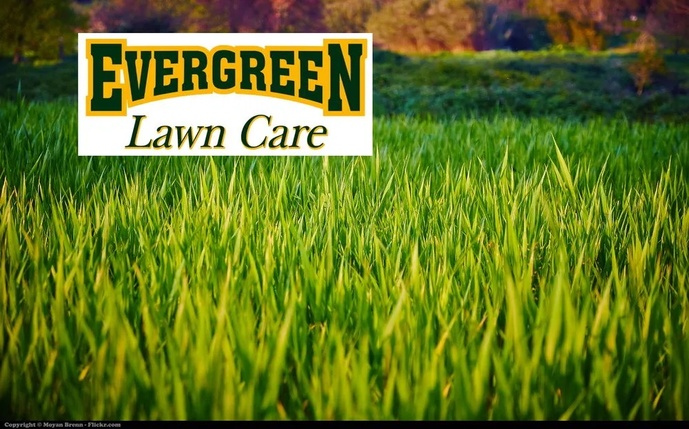Trusted lawn mowing service experts serving Petoskey, MI - Evergreen Lawn Care