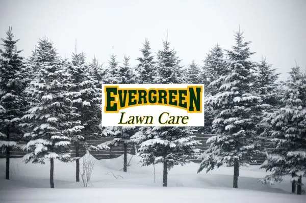 Evergreen Lawn Care Logo