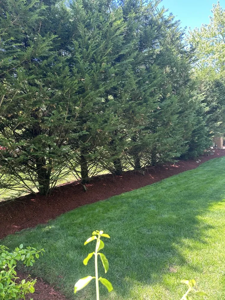 Expert landscaping services experts serving Westbury, NY - Evergreen Lawn Care Service