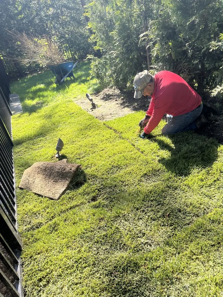 Reliable lawn care service experts serving Westbury, NY - Evergreen Lawn Care Service