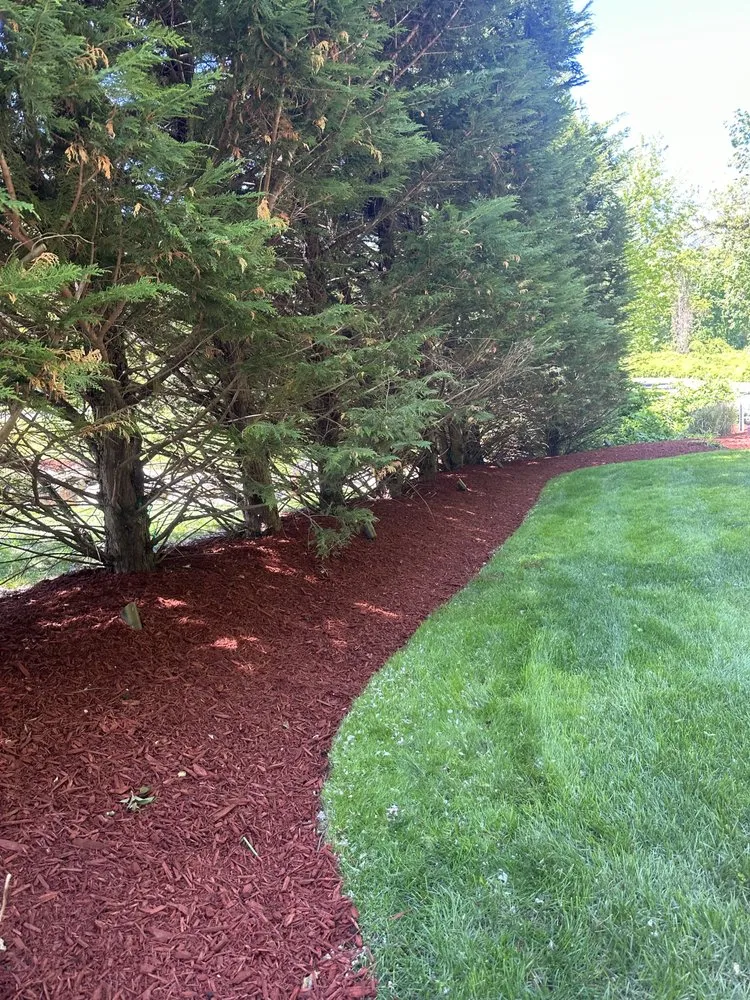 Reliable yard cleanup service experts serving Westbury, NY - Evergreen Lawn Care Service