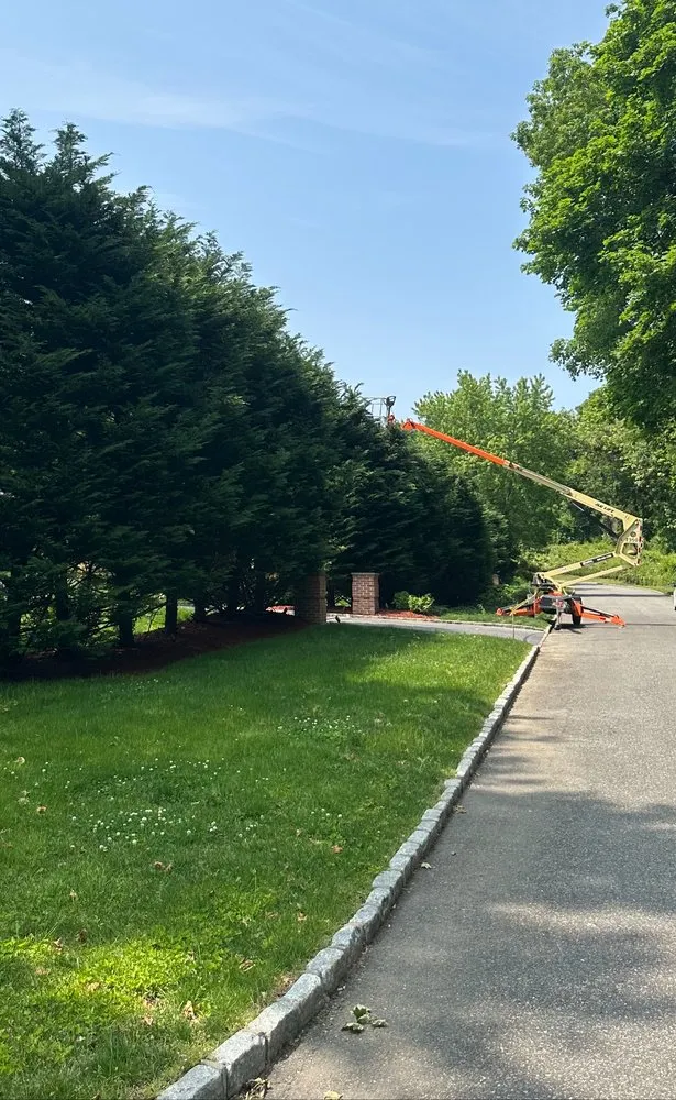 Expert landscape design in Westbury, NY - Evergreen Lawn Care Service