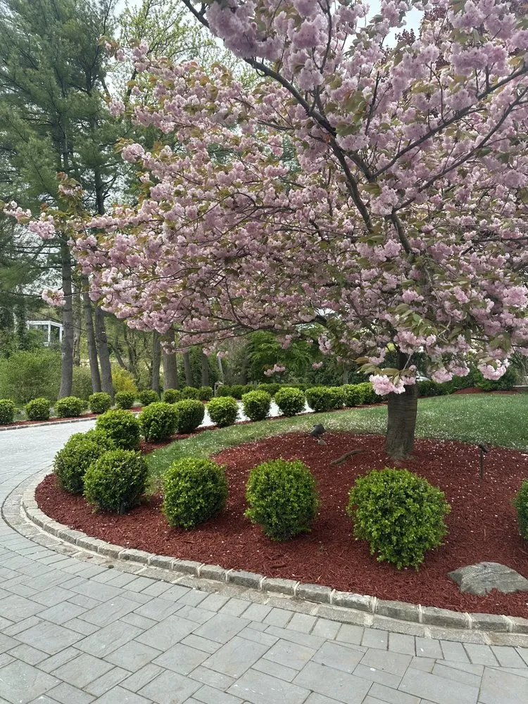Reliable outdoor landscaping in Westbury, NY by Evergreen Lawn Care Service