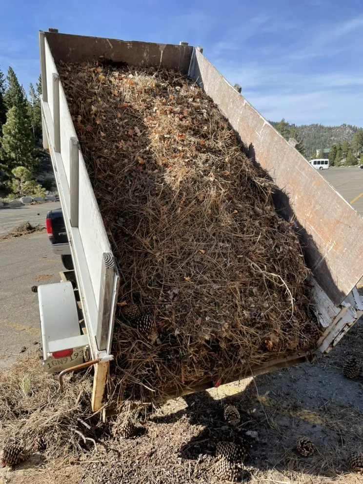 Affordable landscaping services for residential properties in South Lake Tahoe, CA by EverGreen Lawn Care