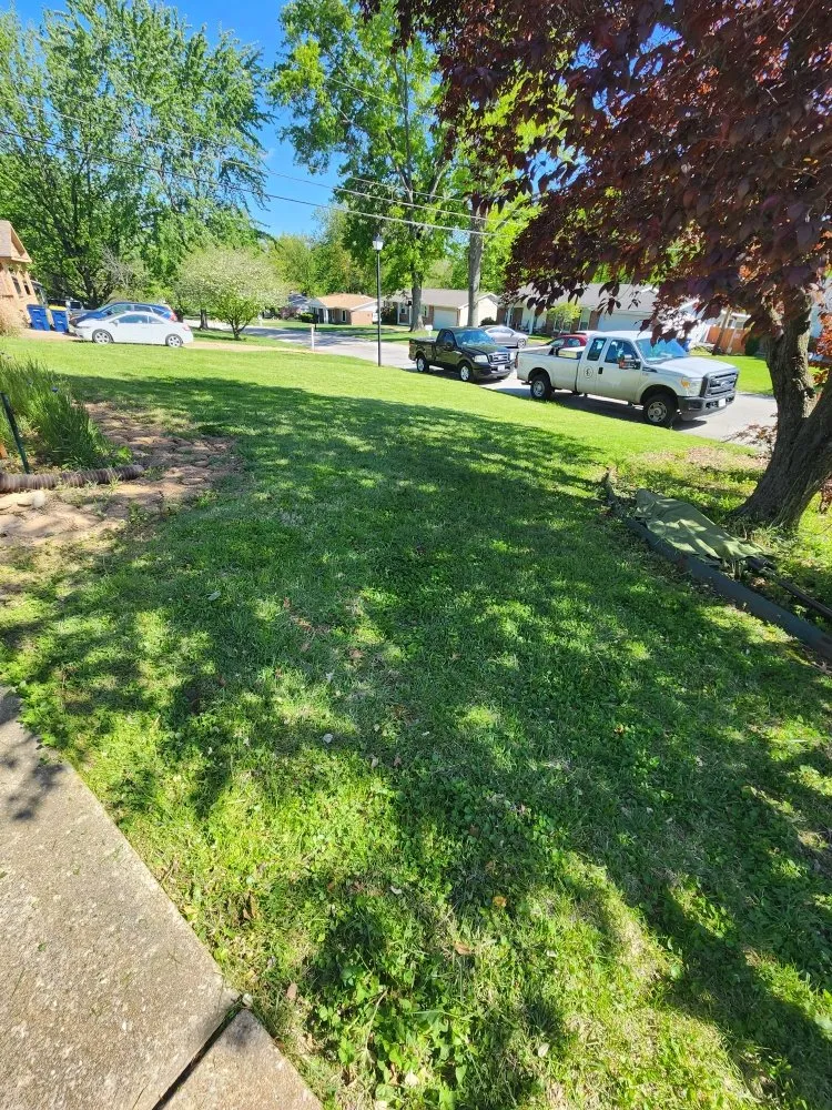 Trusted landscaping services for year-round maintenance across St. Louis, MO - Evergreen Lawn Care