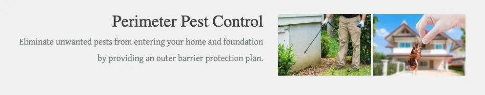 Expert outdoor landscaping for homes in Whiteland, IN by Evergreen Lawn Care