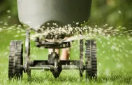 Expert landscaping services experts serving Whiteland, IN - Evergreen Lawn Care