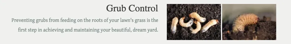 Professional landscape installation experts serving Whiteland, IN - Evergreen Lawn Care